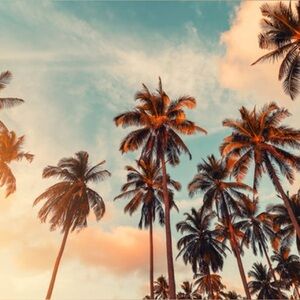 Meet your Posher, Meg